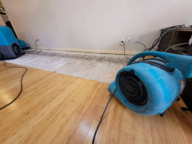Professional Flood Damage Cleanup technician working in Martinsville, IN